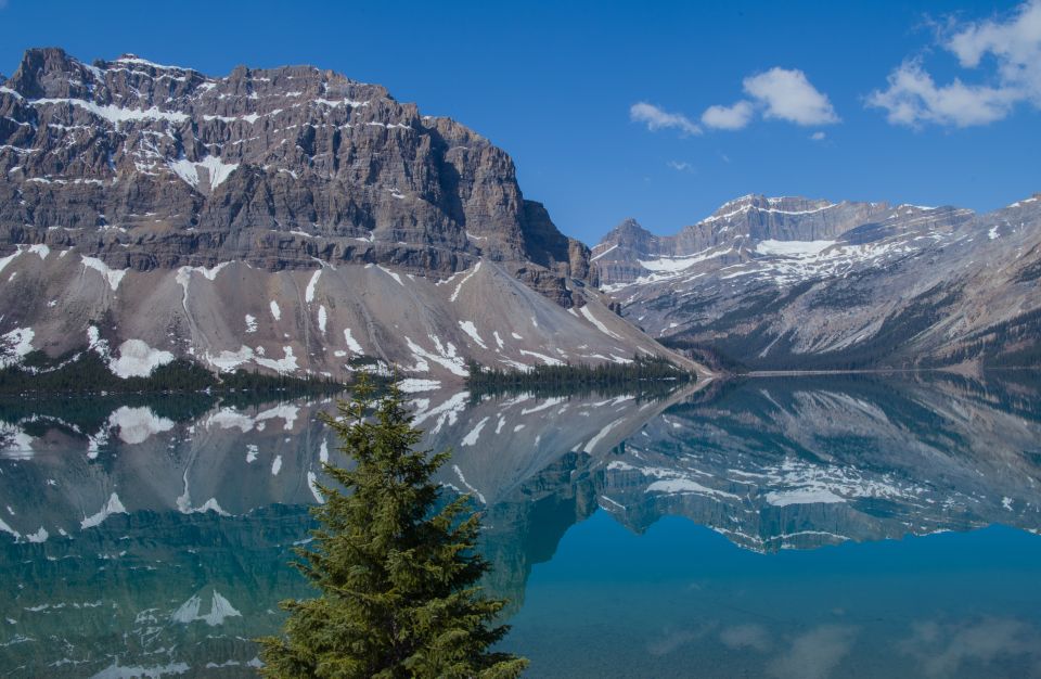 From Calgary/Banff: Columbia Icefield Glacier Full-Day Trip - Booking and Availability