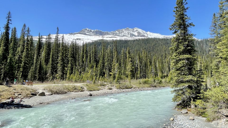 From Calgary: Banff & Yoho National Parks Private Day Tour - Frequently Asked Questions