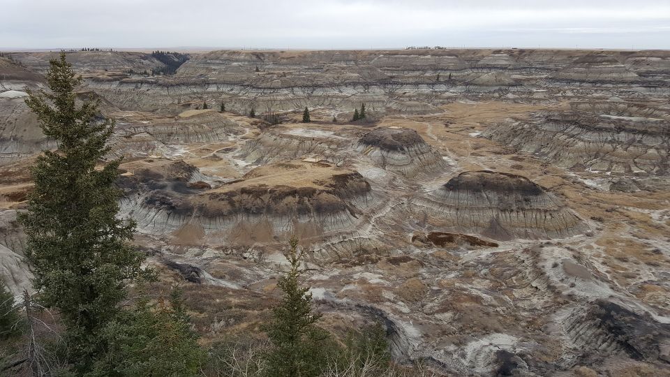 From Calgary: Canadian Badlands Private Geological Tour - Comfortable Transportation Arrangements