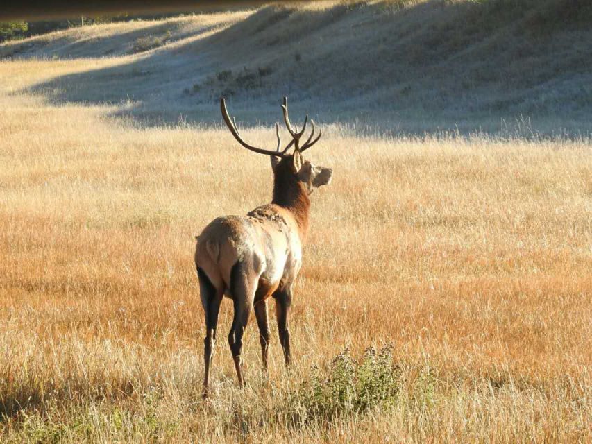 From Calgary: Deep 1 Day Tour in Banff - Frequently Asked Questions