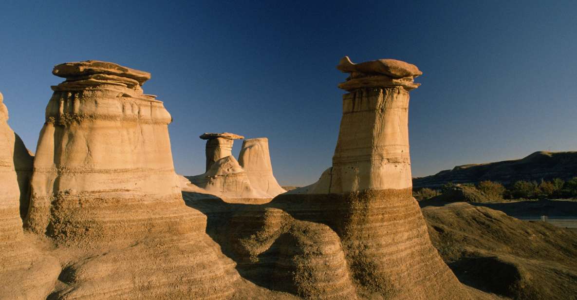 From Calgary: Drumheller and Badlands Tour - Key Points