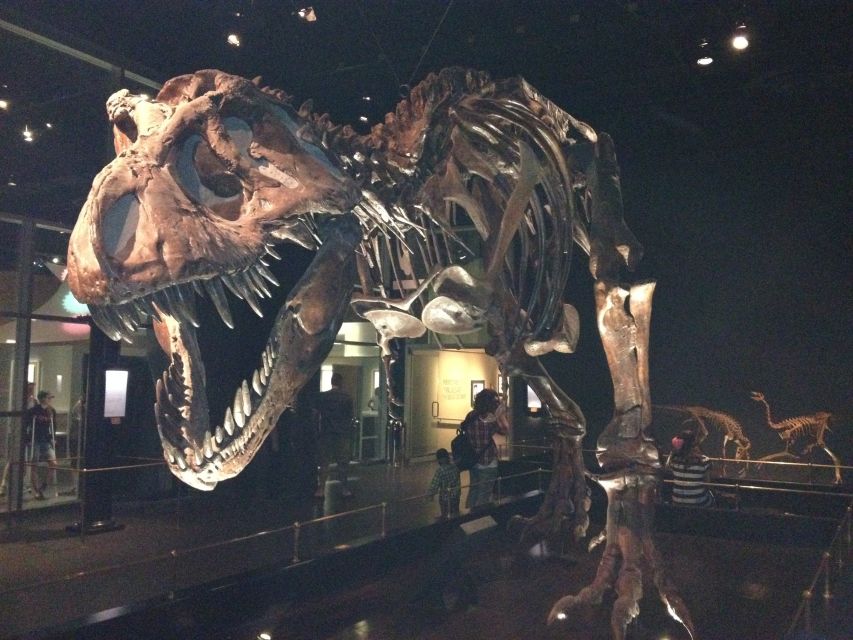 From Calgary: Drumheller and Badlands Tour - Tour Requirements