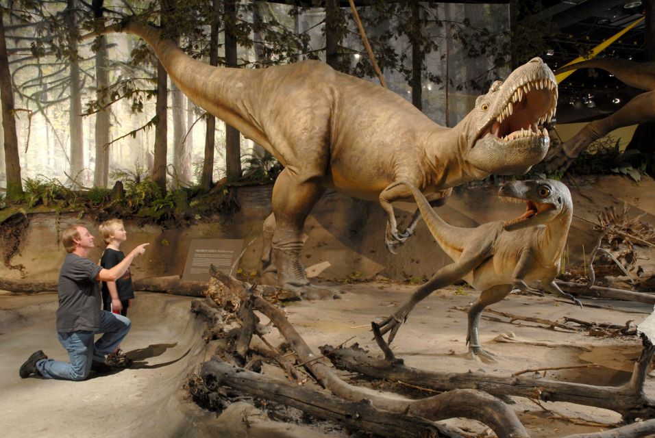 From Calgary: Drumheller and Badlands Tour - Logistics