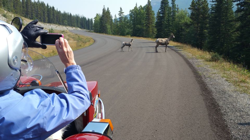 From Calgary: High Spirits Adventure in a Sidecar Motorcycle - Visiting Eau Claire Distillery