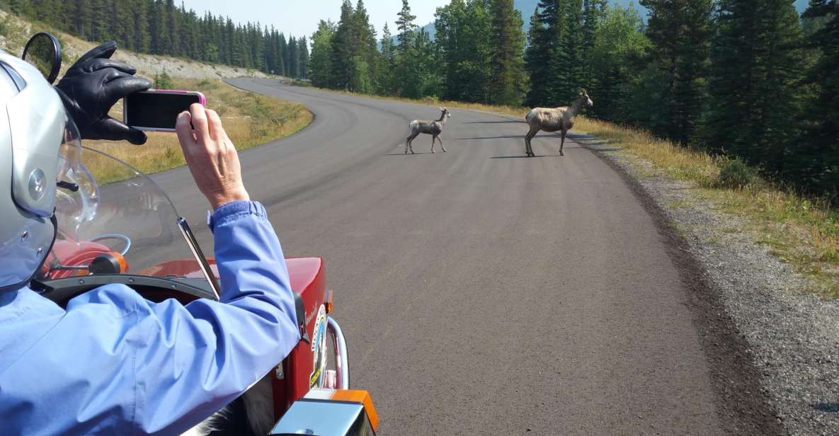 From Calgary: High Spirits Adventure in a Sidecar Motorcycle - Stunning Photo Opportunities
