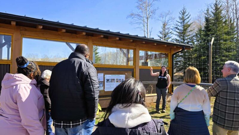 From Calgary to Banff: Day Trip with Wolfdog Sanctuary Visit - The Itinerary in Detail