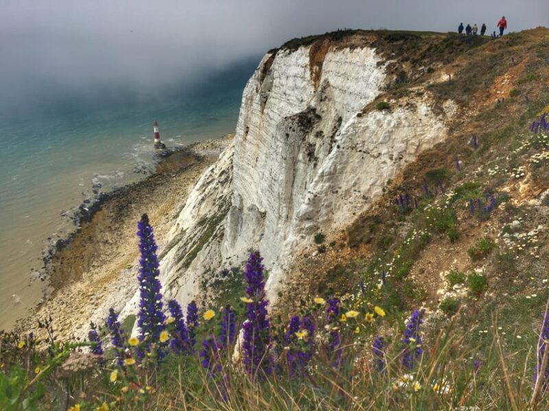 From Cambridge: Guided day trip to Brighton & Beachy Head - Key Points
