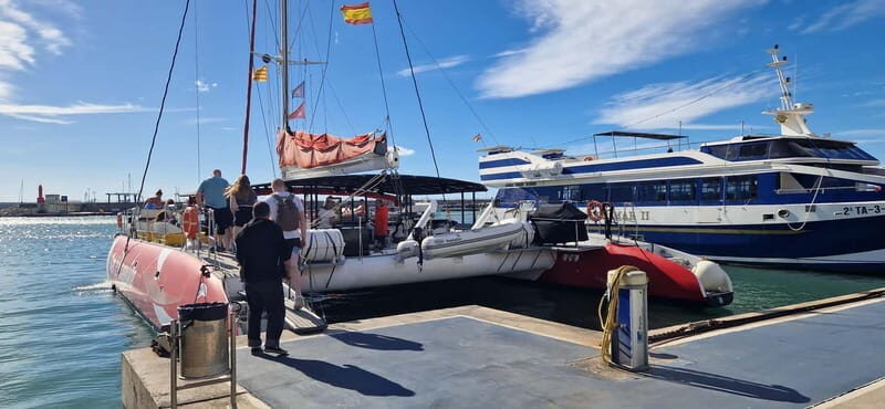 From Cambrils: catamaran 2h with drinks/bed balinese, swim. - Key Points