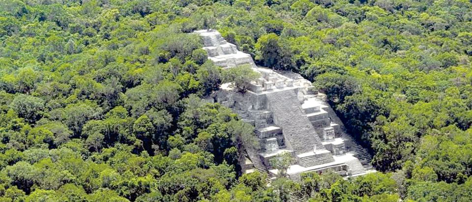 From Campeche: Calakmul Guided Nature and History Day Trip - Key Points
