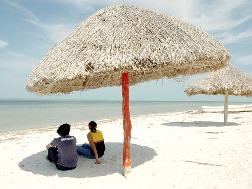 From Campeche: Flamingo Private Tour - Key Points