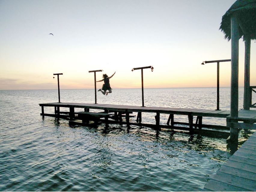 From Campeche: Flamingo Private Tour - Mayan Meliponario and Honey Tasting
