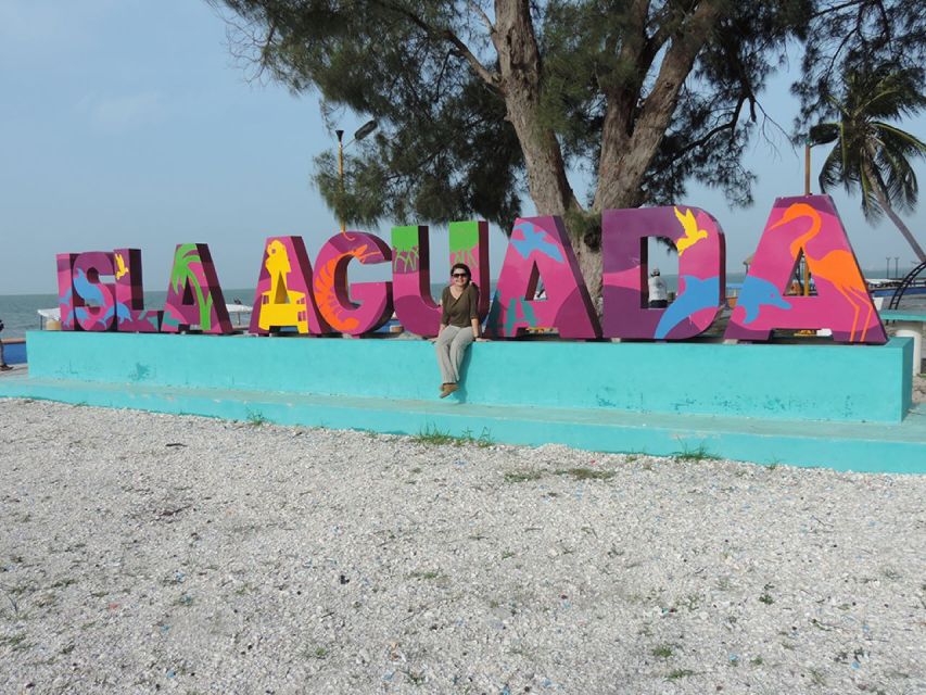 From Campeche: Isla Aguada Dolphin Encounter Tour - Key Points