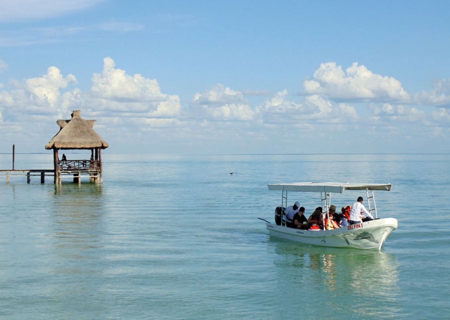From Campeche: Isla Aguada Dolphin Encounter Tour - Dolphin Sightings