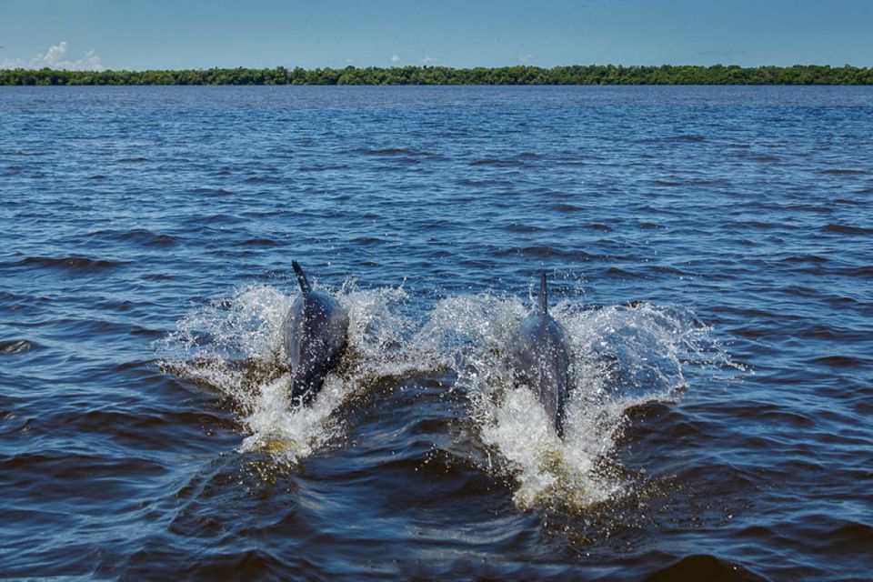 From Campeche: Mamantel River Tour - Pricing