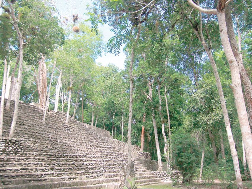 From Campeche: Private 3-Day Selva Maya Tour With Half Board - Key Points