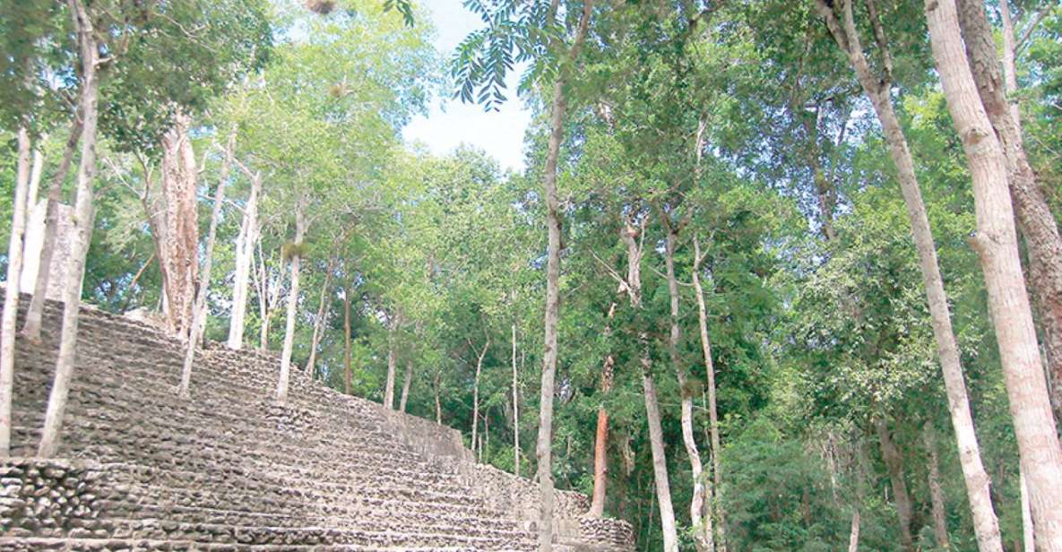 From Campeche: Private 3-Day Selva Maya Tour With Half Board - Itinerary Breakdown