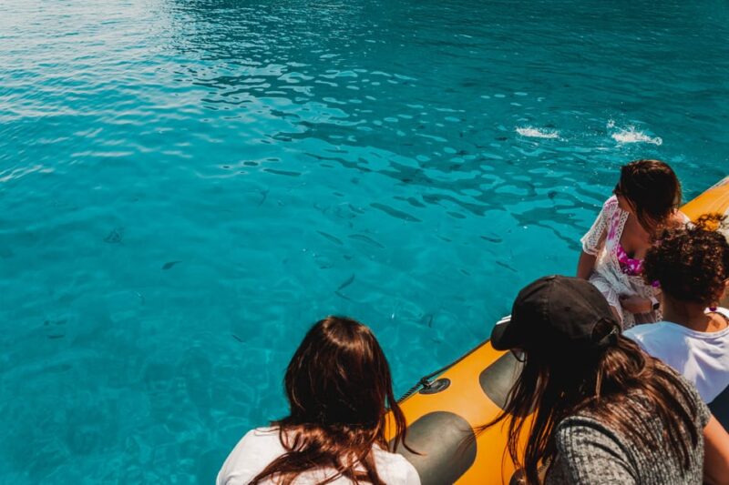From Can Picafort: Dolphin Watching and Cave Boat Trip - Key Points