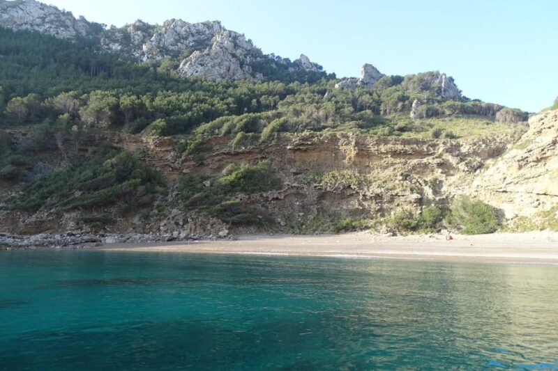 From Can Picafort: Dolphin Watching and Cave Boat Trip - Cruise Route and Highlights
