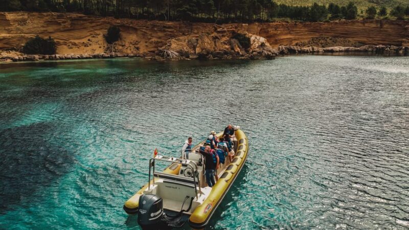 From Can Picafort: Dolphin Watching and Cave Boat Trip - Dolphin Watching Experience