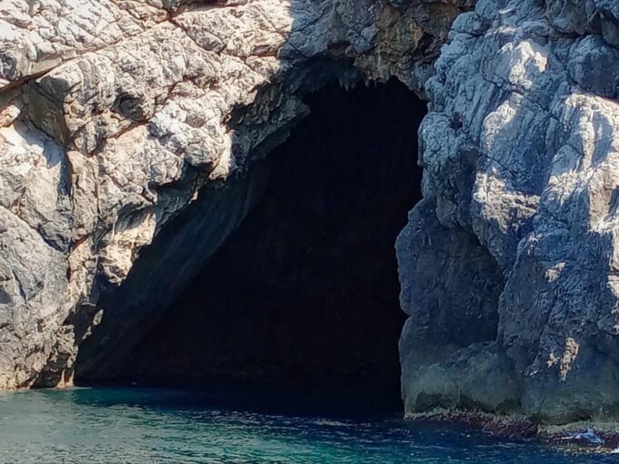 From Can Picafort: Dolphin Watching and Cave Boat Trip - Frequently Asked Questions