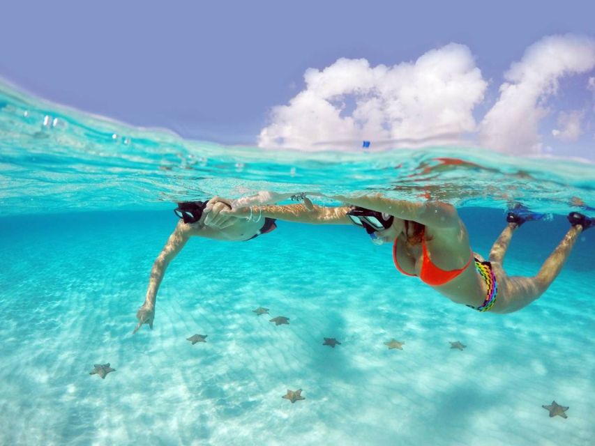 From Cancun and Riviera Maya: Cozumel Snorkeling Tour - Key Points