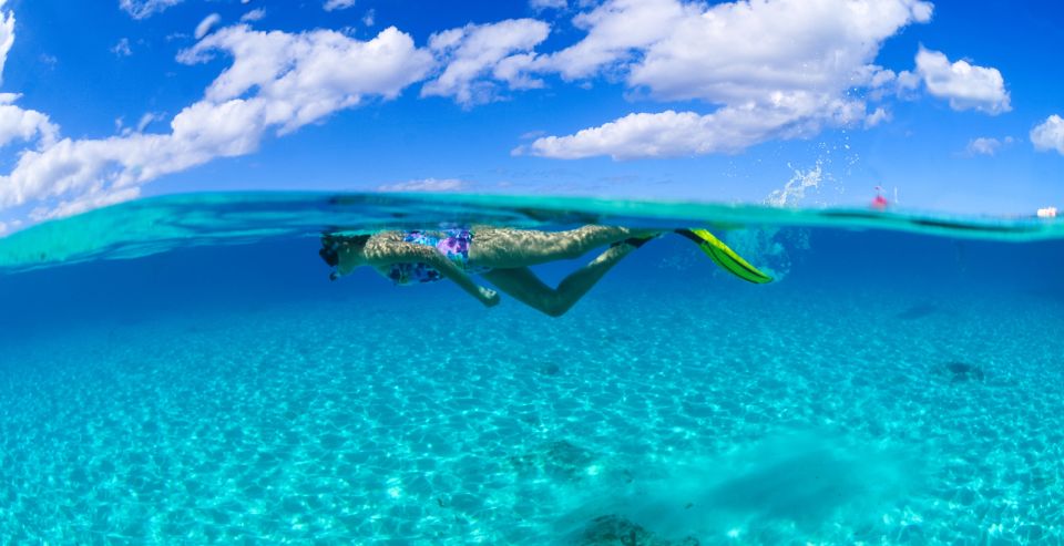 From Cancun and Riviera Maya: Cozumel Snorkeling Tour - Included Activities