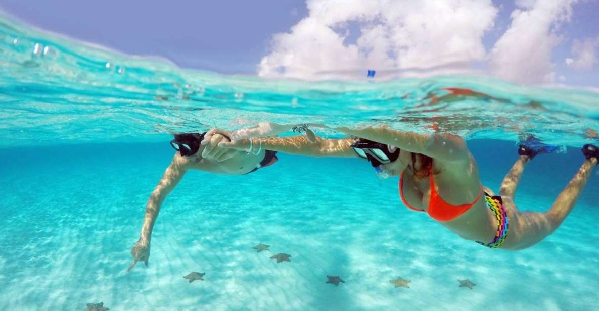 From Cancun and Riviera Maya: Cozumel Snorkeling Tour - Snorkeling Locations