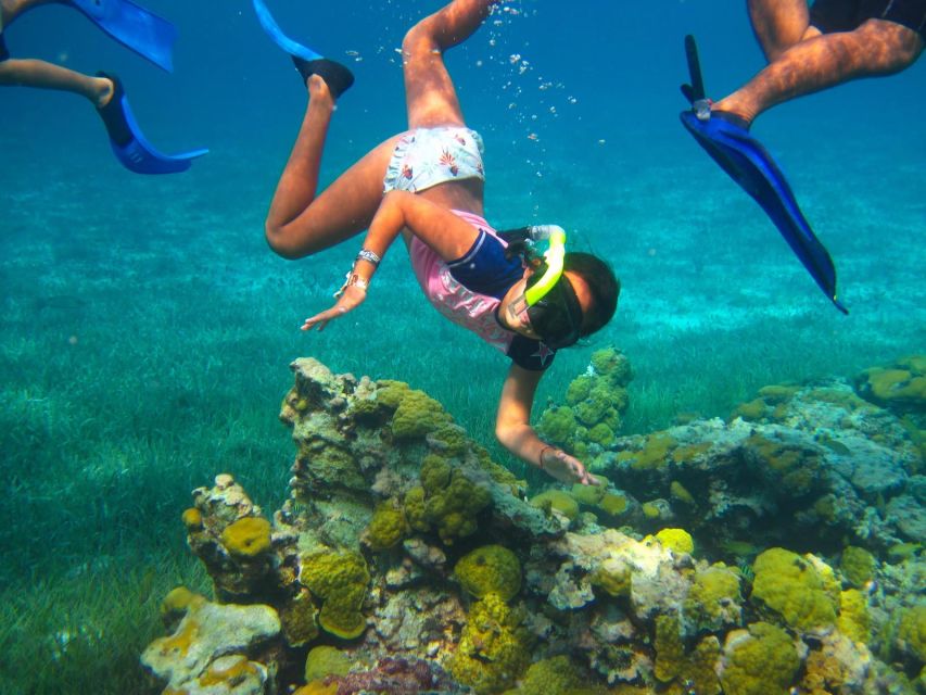 From Cancun and Riviera Maya: Cozumel Snorkeling Tour - Lunch and Drinks