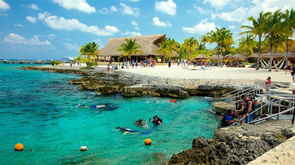 From Cancun and Riviera Maya: Cozumel Snorkeling Tour - Pickup and Insurance