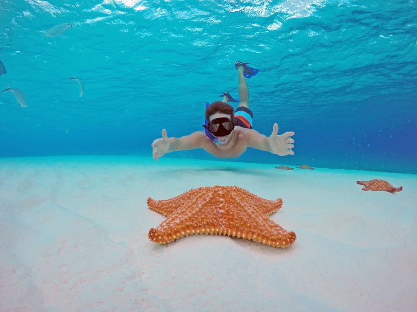 From Cancun and Riviera Maya: Cozumel Snorkeling Tour - Optional Conservation Fee