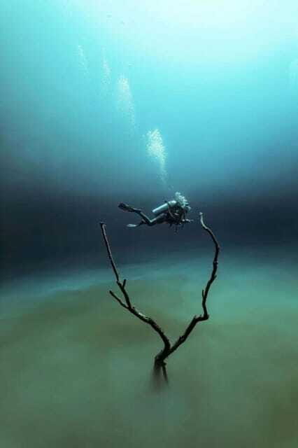 From Cancun: Angelita and Taj Ma Ha Cenote Diving Experience - FAQ