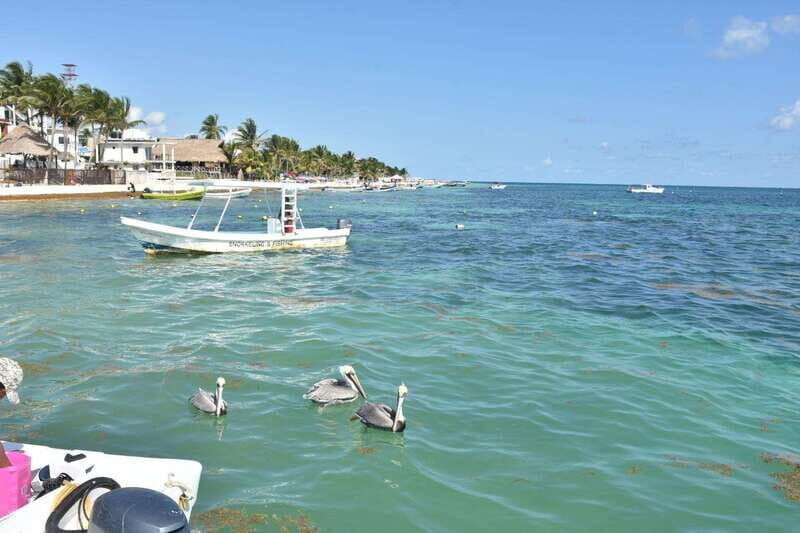 From Cancun: ATV EXPRESS Cenote Adventure with lunch - The Experience: Pros and Cons