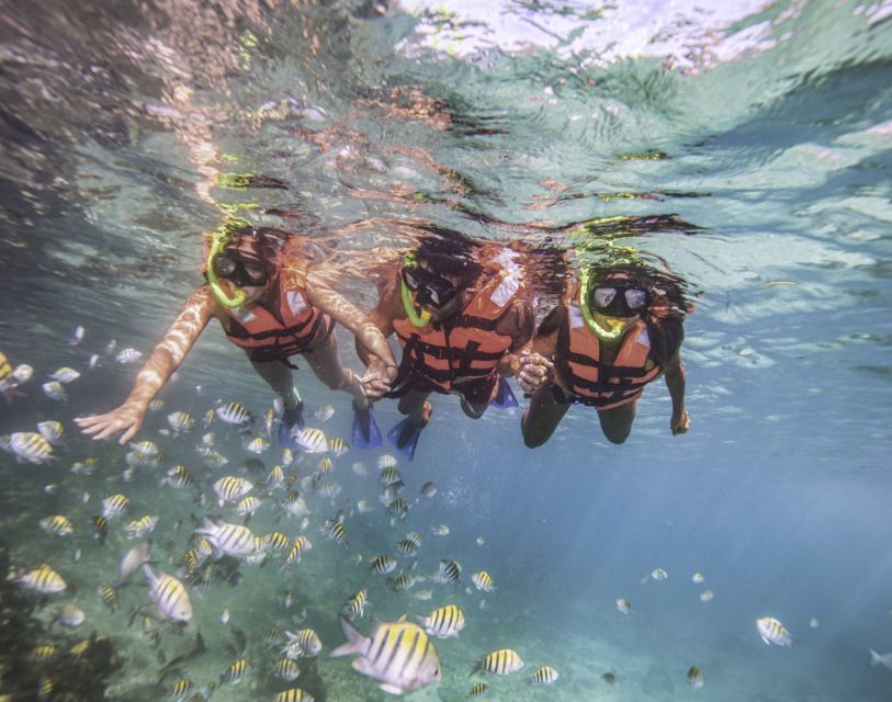 From Cancun: Catamaran to Isla Mujeres, Snorkel & Beach Club - Visit to Isla Mujeres Downtown