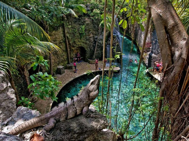 From Cancun: Complete Combo to Xcaret Park! - Introduction: Your Day of Culture, Nature, and Fun at Xcaret