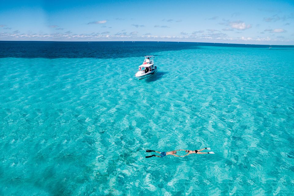 From Cancun: Cozumel Snorkeling Tour - Key Points
