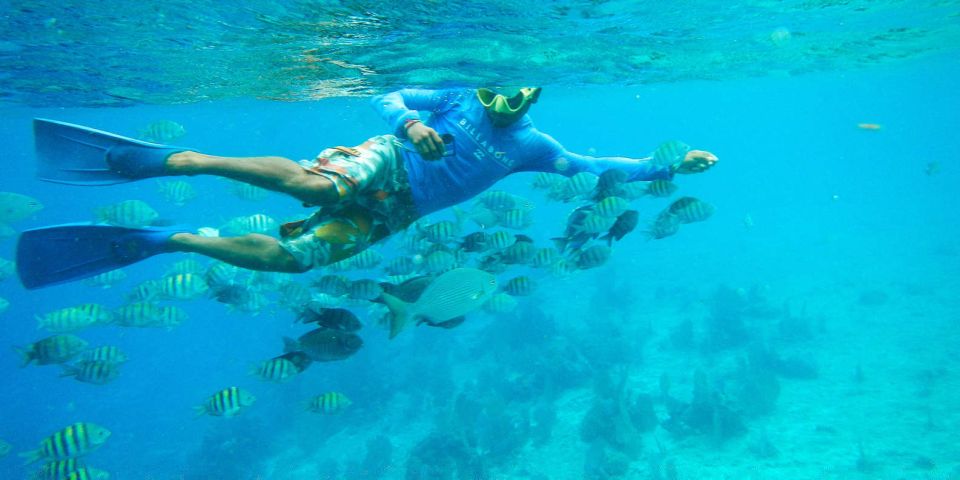 From Cancun: Cozumel Snorkeling Tour - Entrance Fee and Exclusions