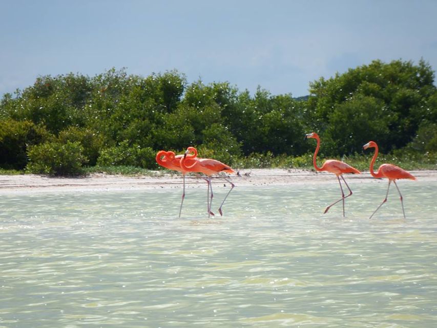From Cancún: Day Trip to the Las Coloradas Pink Lakes - What to Bring