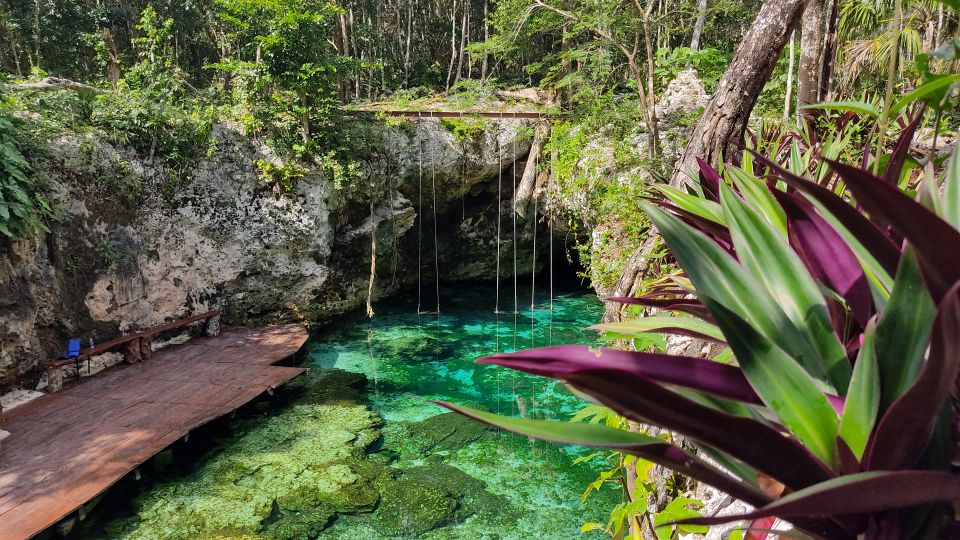 From Cancun: Day Trip to Tulum, Cenote & Playa Del Carmen - Tour Inclusions and Exclusions