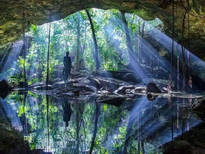 From Cancun: Dos Ojos Cenote Diving Experience - Introduction: What to Expect from the Dos Ojos Cenote Diving Experience