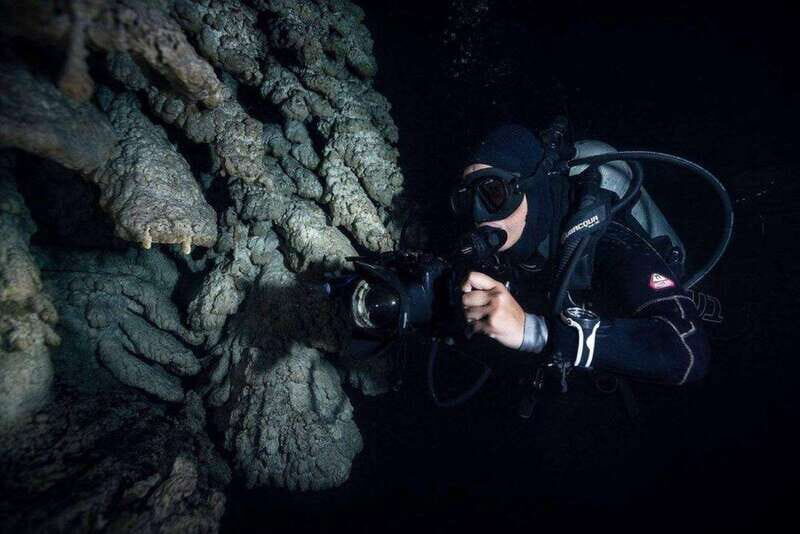 From Cancun: Fast Boat Cozumel Diving Experience - Key Points