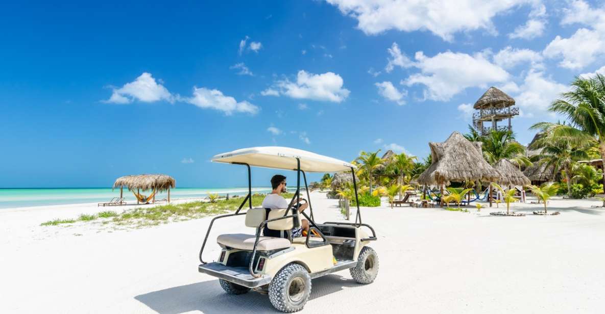 From Cancun: Guided Day Trip to Isla Holbox With Lunch - Key Points