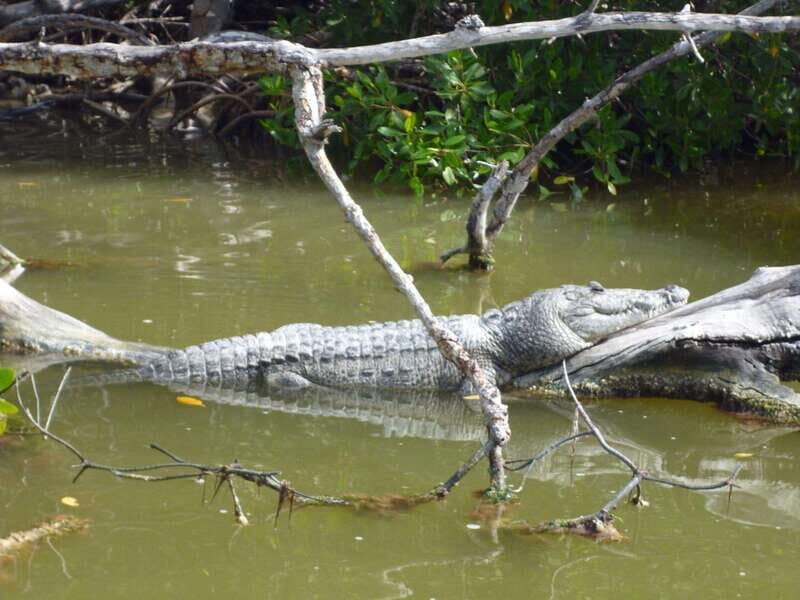 From Cancun: Kantemó Snake Cavern Adventure - Key Points