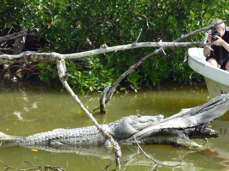 From Cancun: Kantemó Snake Cavern Adventure - Who Is This Tour Best For?