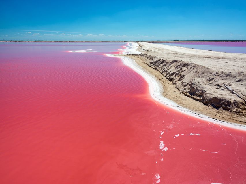 From Cancun: Las Coloradas and Rio Lagartos Day Tour - Inclusions and Pricing