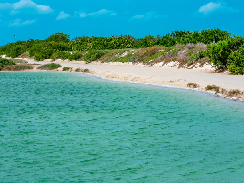 From Cancun: Las Coloradas and Rio Lagartos Day Tour - Customer Feedback