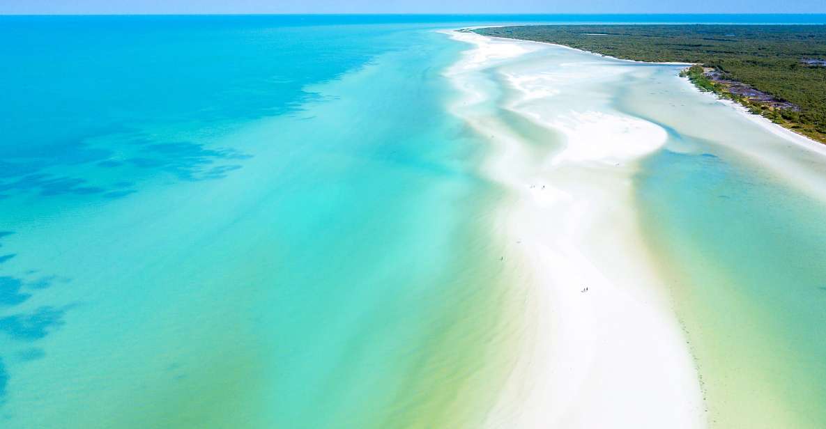 From Cancun or Puerto Morelos: Holbox Boat Tour With Lunch - Itinerary Highlights