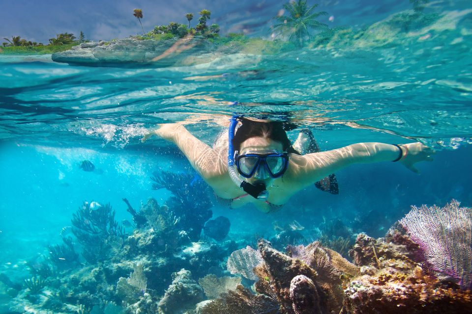 From Cancun or Riviera Maya: Isla Contoy & Mujeres Day Trip - Snorkeling at Ixlache Reef