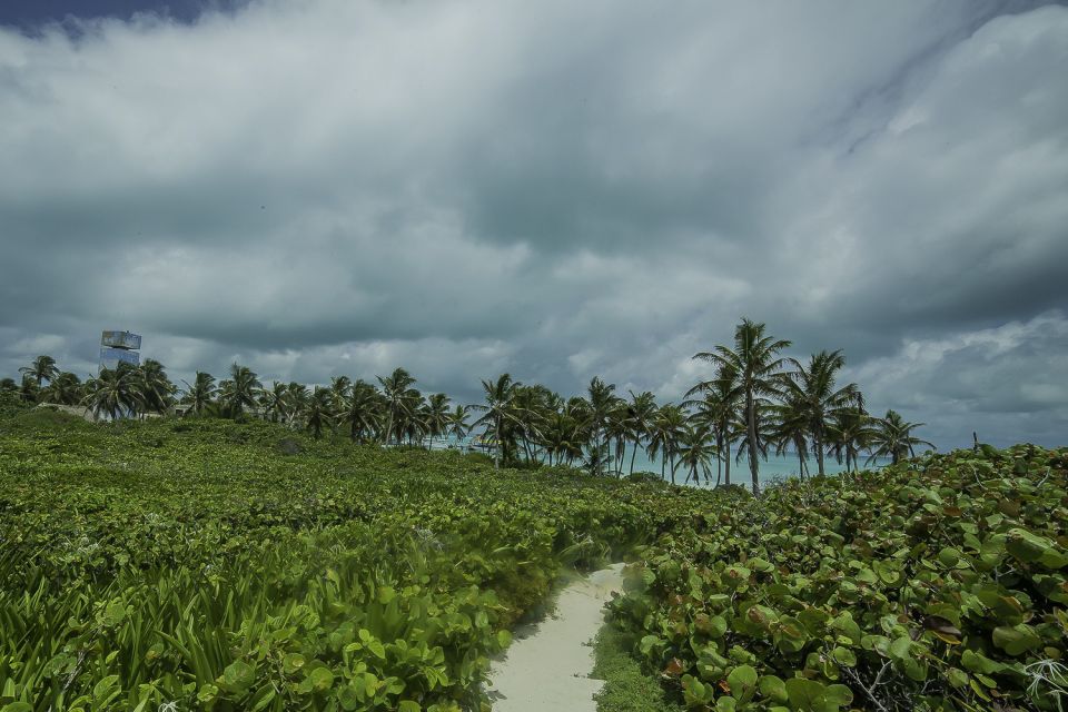 From Cancun or Riviera Maya: Isla Contoy & Mujeres Day Trip - Exploring Contoy Island