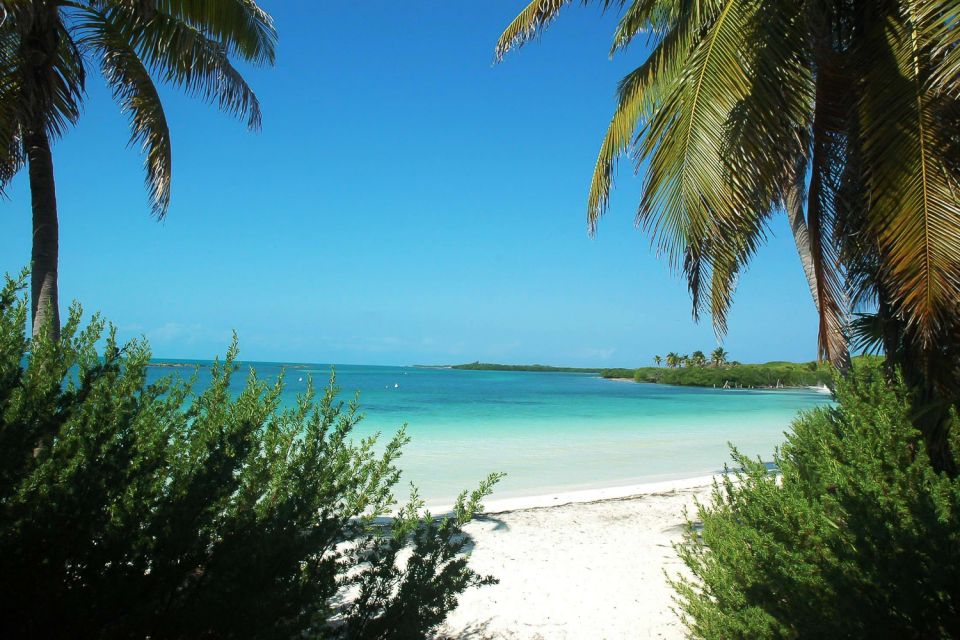 From Cancun or Riviera Maya: Isla Contoy & Mujeres Day Trip - Visiting Isla Mujeres