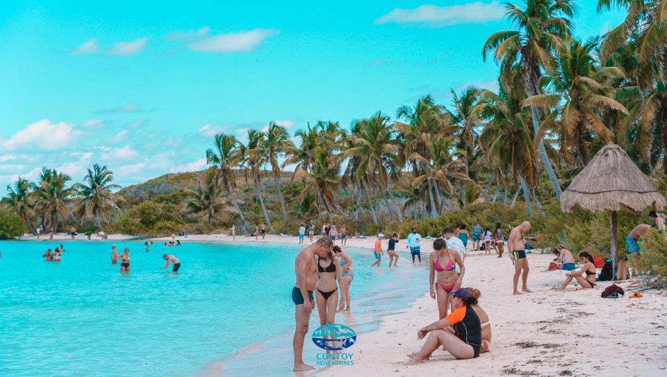 From Cancun or Riviera Maya: Isla Contoy & Mujeres Day Trip - Included Activities